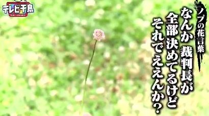 自転車はね死亡、運転の80歳男性に無罪判決 直前の雨で道路ぬれ
