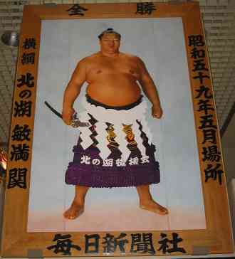 【実況・応援】大相撲11月場所を15日間応援するトピはこちらです