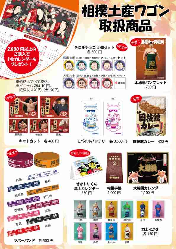 【実況・応援】大相撲11月場所を15日間応援するトピはこちらです