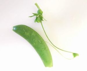 地味に好きな作業