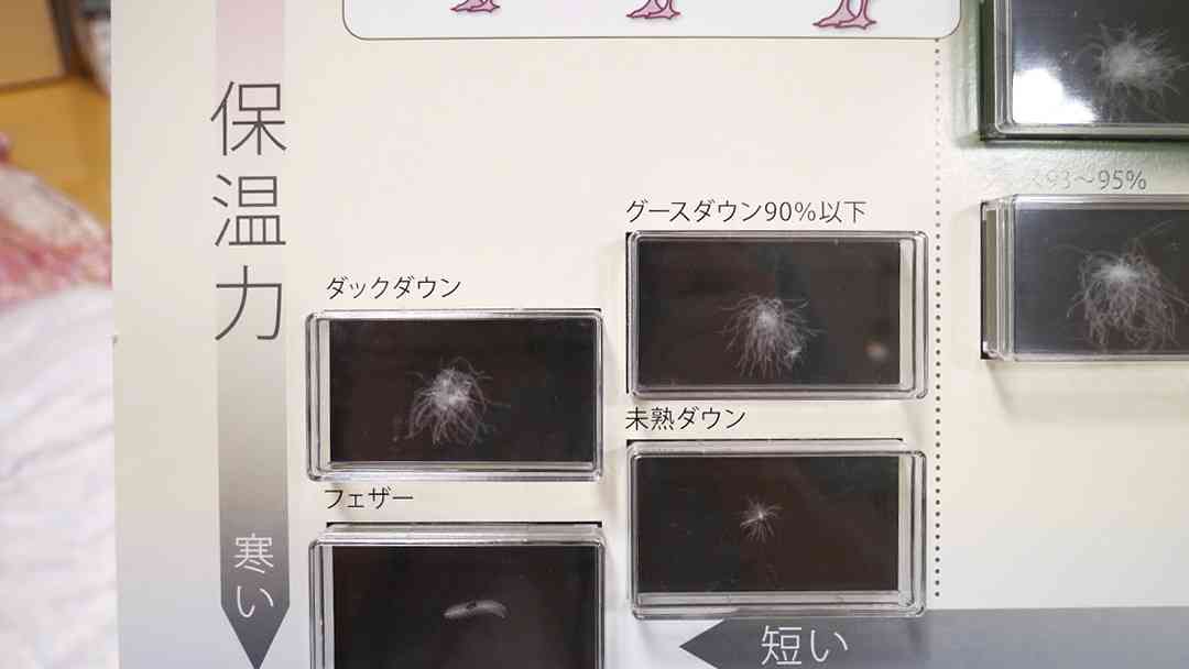 ダウンコートが欲しい【素材などおすすめ教えて】
