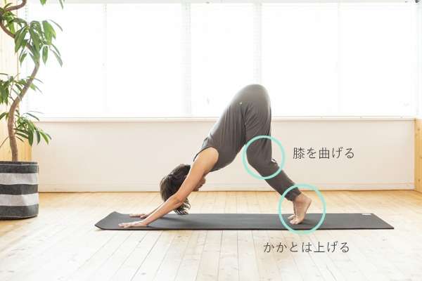 好きなヨガのポーズを教えてください。