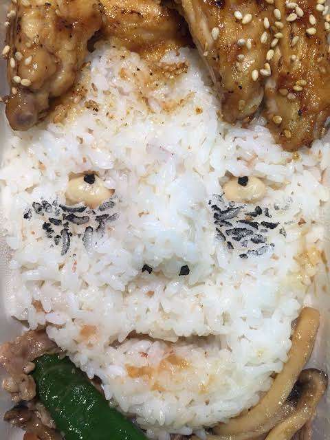 飯田圭織、小1息子に作った二段重ね弁当が「めちゃ美味しそう」「料理上手」と反響