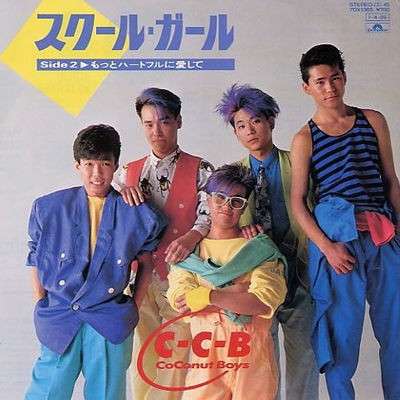 青春時代をアイドルに捧げた人!