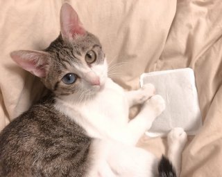 返信が付いたら何か少し良いことがあるかもしれないトピpart2