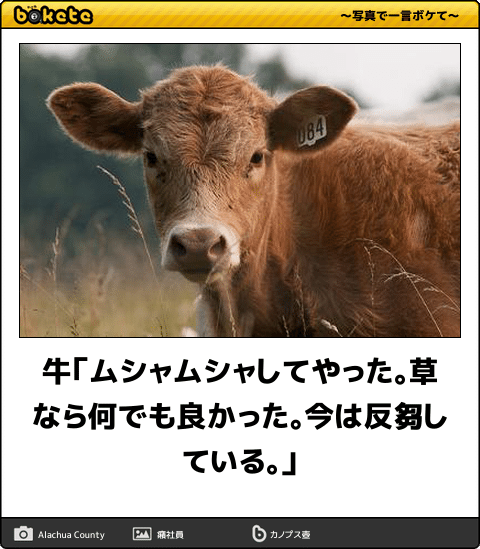 「ムシャクシャして…」　”地蔵”2体盗んだか　逮捕の親子『家には他にも数体の地蔵』