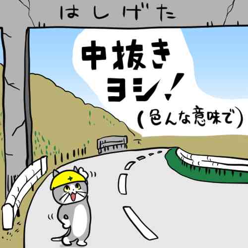 SNSで話題の“仕事猫”、ぬいぐるみ型クッションに