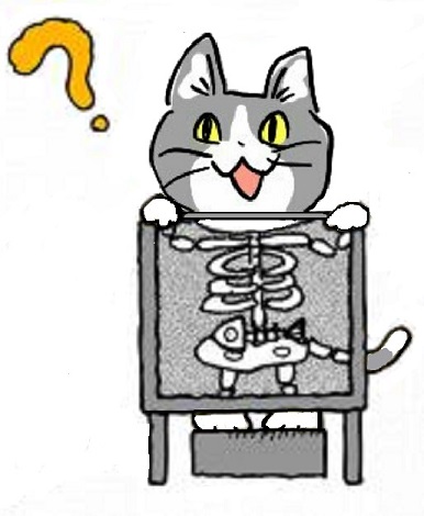 SNSで話題の“仕事猫”、ぬいぐるみ型クッションに
