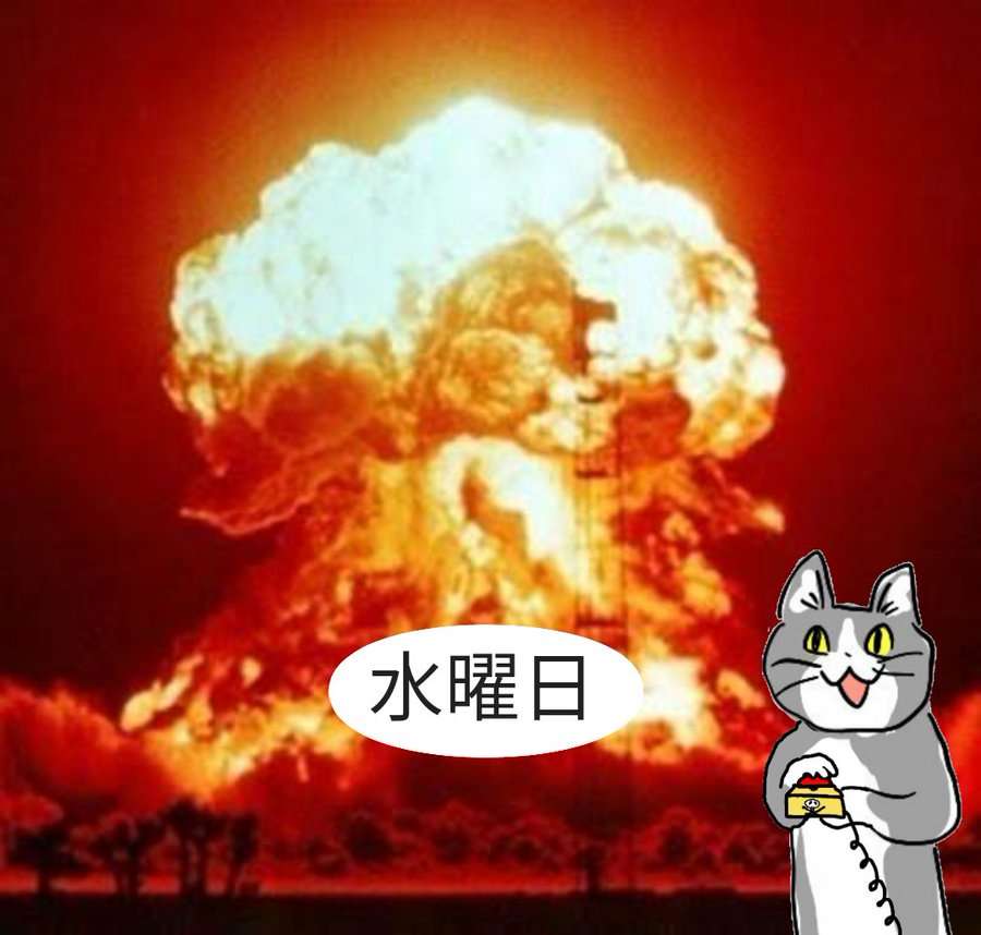 SNSで話題の“仕事猫”、ぬいぐるみ型クッションに