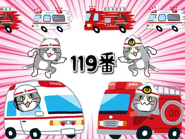 SNSで話題の“仕事猫”、ぬいぐるみ型クッションに