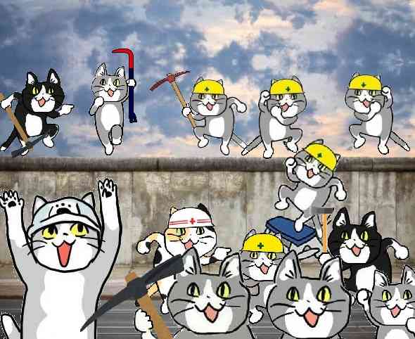 SNSで話題の“仕事猫”、ぬいぐるみ型クッションに