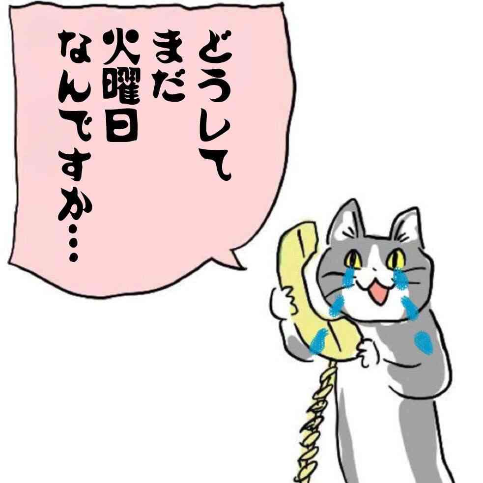 SNSで話題の“仕事猫”、ぬいぐるみ型クッションに