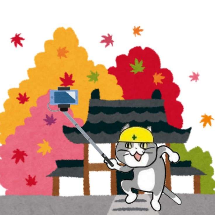 SNSで話題の“仕事猫”、ぬいぐるみ型クッションに