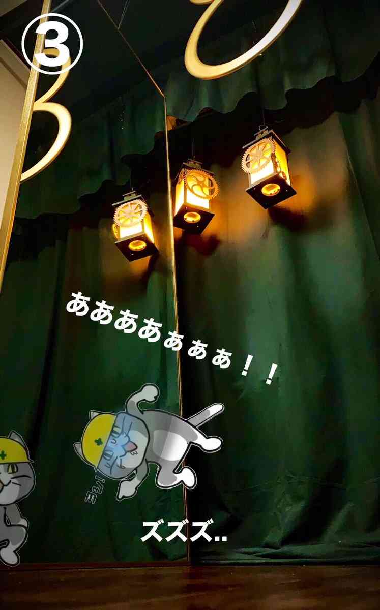 SNSで話題の“仕事猫”、ぬいぐるみ型クッションに
