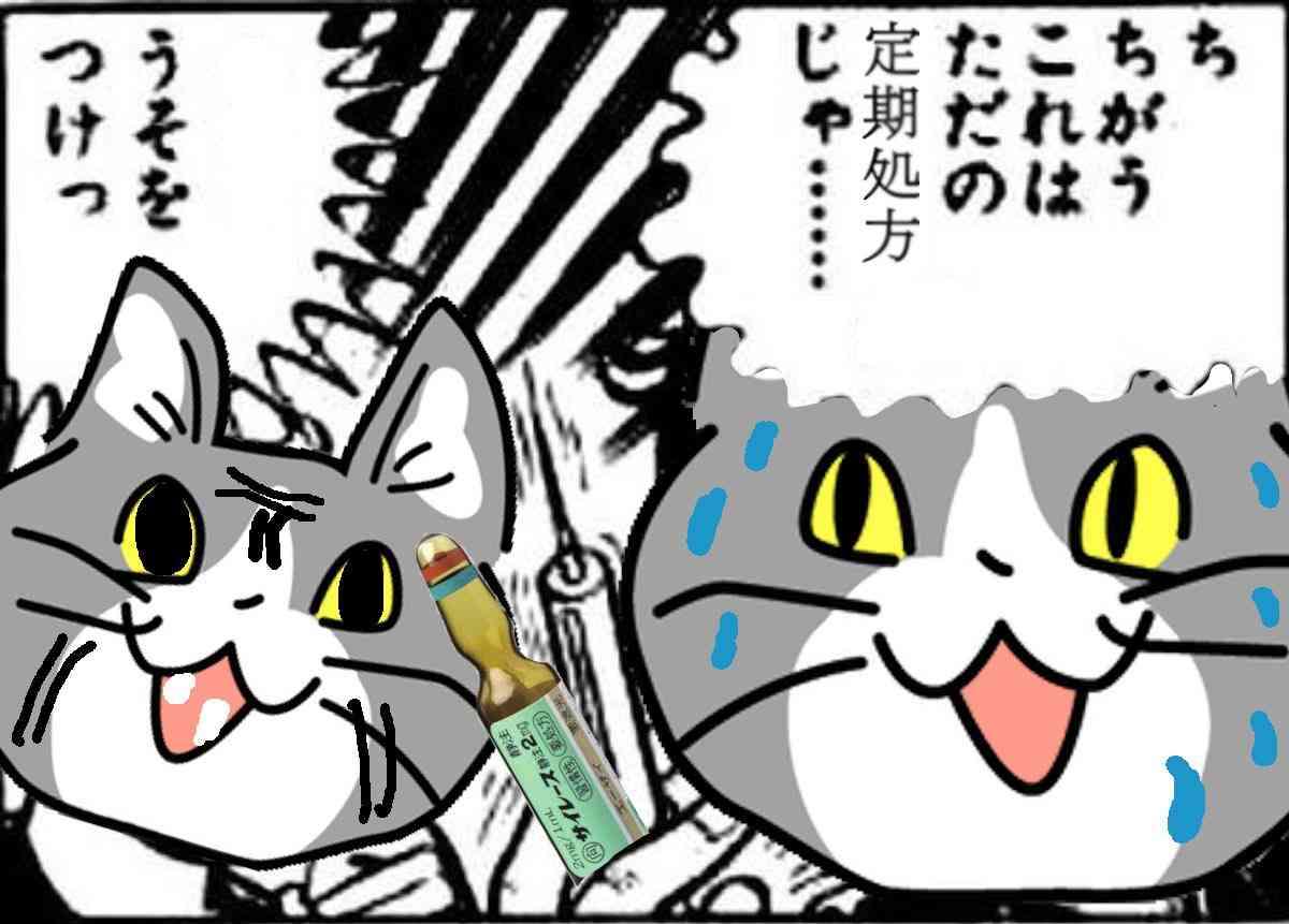 SNSで話題の“仕事猫”、ぬいぐるみ型クッションに
