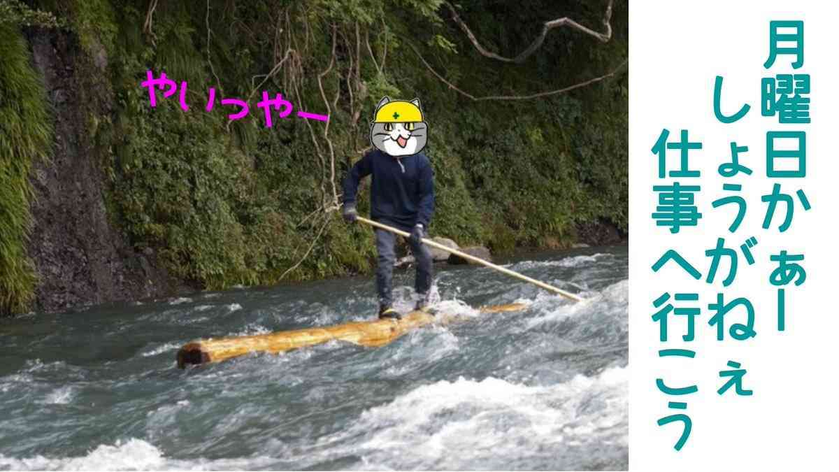 SNSで話題の“仕事猫”、ぬいぐるみ型クッションに