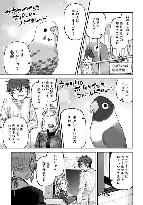 犬猫以外の癒し系ペット