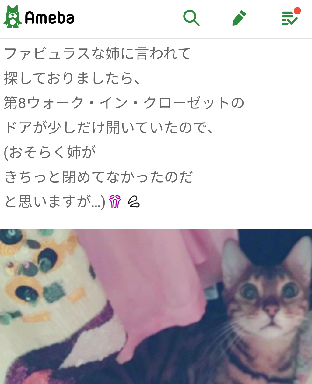叶姉妹 どんな家に住んでいる?に「ウオークインクローゼットは150平米」「猫ちゃんの部屋は20畳」