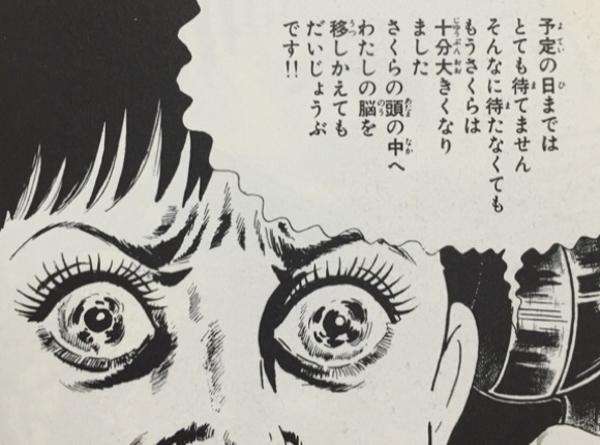 ホラー漫画家と言えば