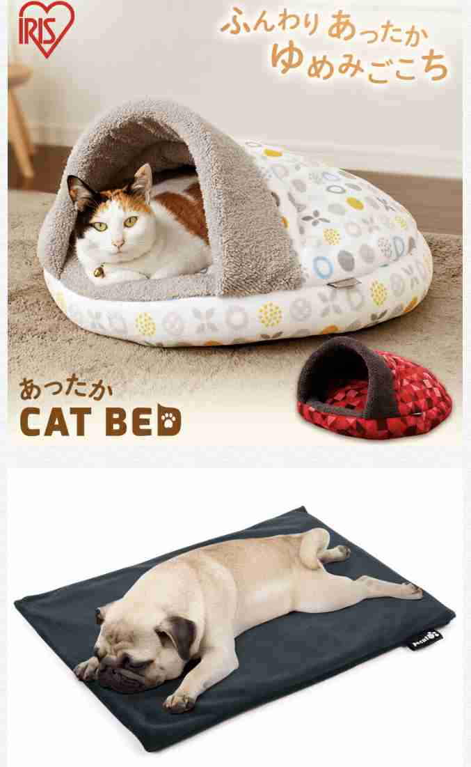 がるちゃん猫カフェ57号店 開店しました♪(初めての方も大歓迎!!)