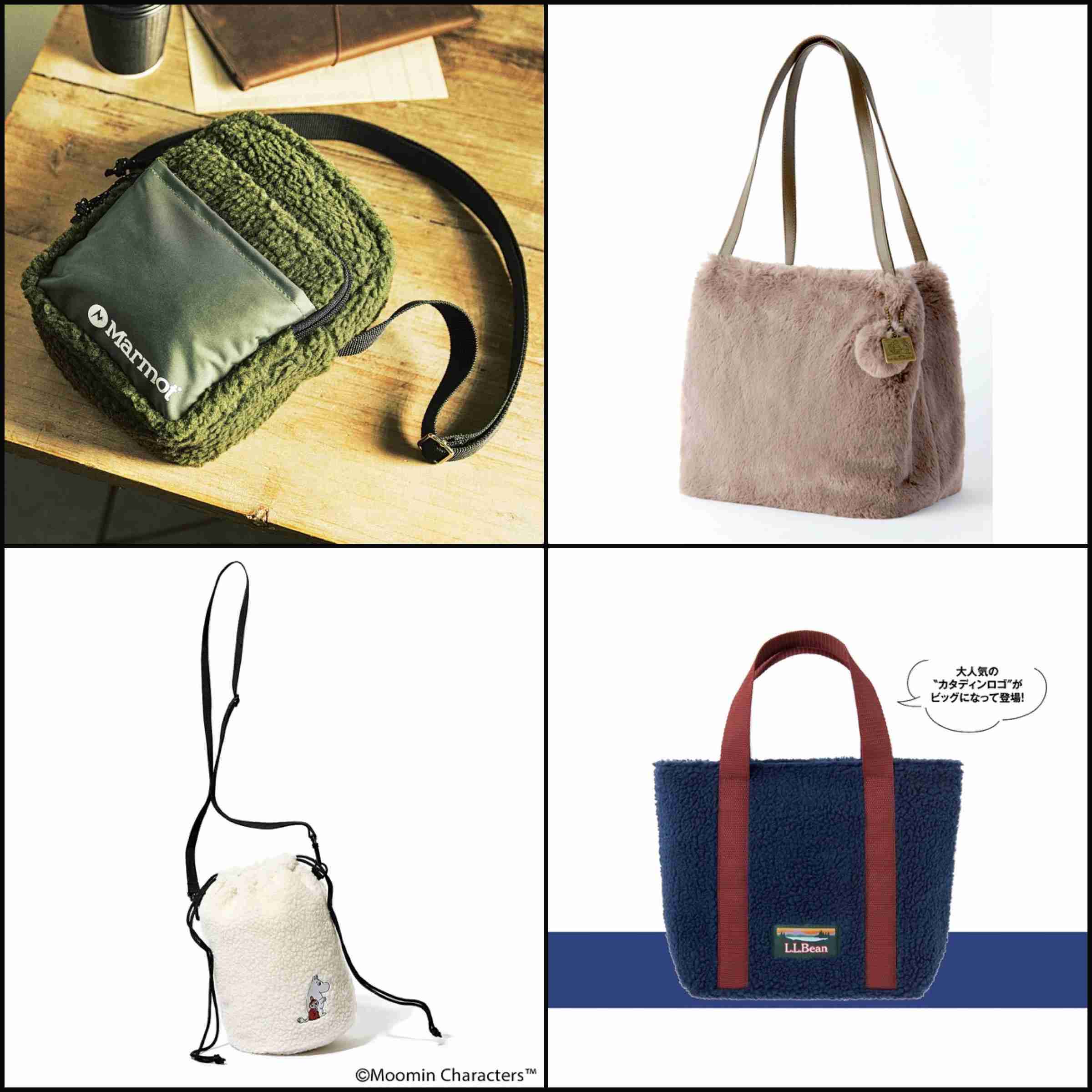 【定期トピ】雑誌付録12・1月号