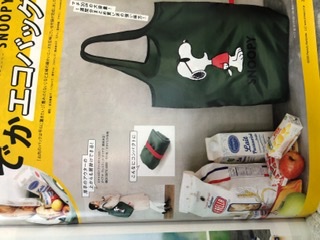 【定期トピ】雑誌付録12・1月号