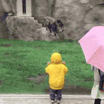 衝撃的なgif
