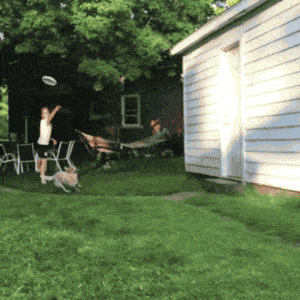 衝撃的なgif