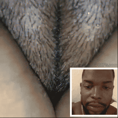 衝撃的なgif
