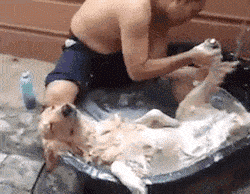 衝撃的なgif