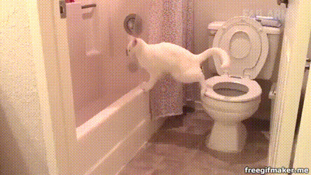 衝撃的なgif