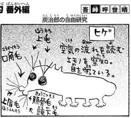 2次元キャラの字や絵が見たい