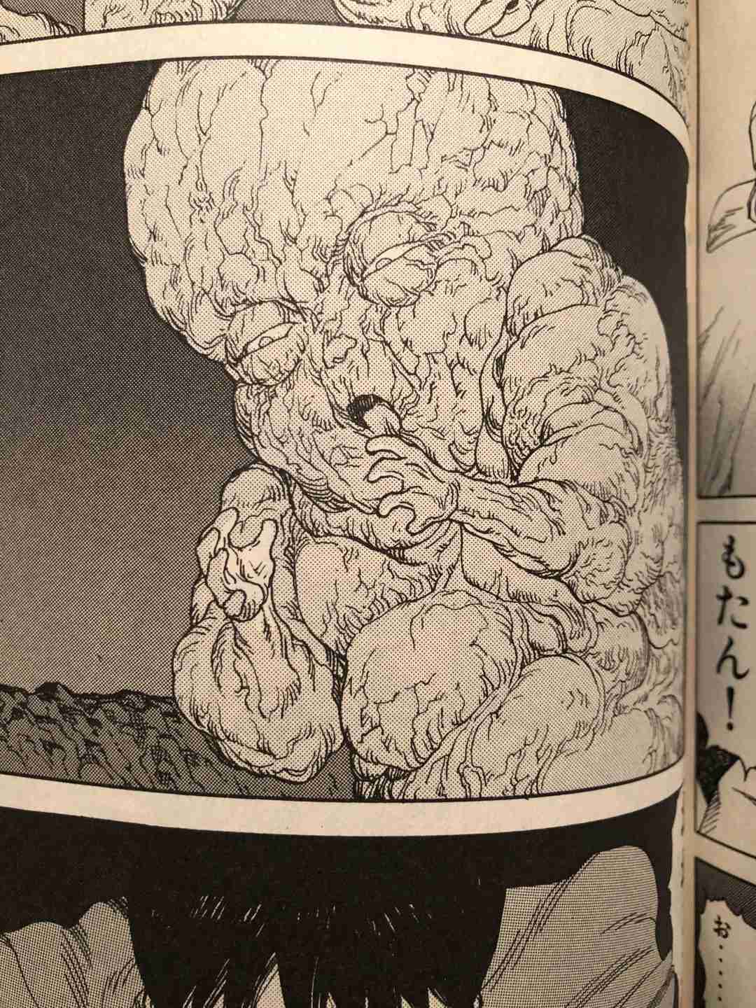 本田翼が漫画『ワンピース』に苦言!? 的確な指摘に共感の声