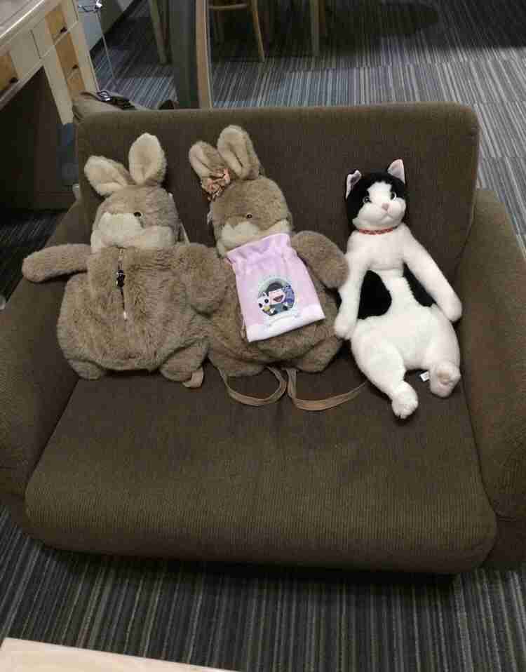 彼氏がぬいぐるみ好き