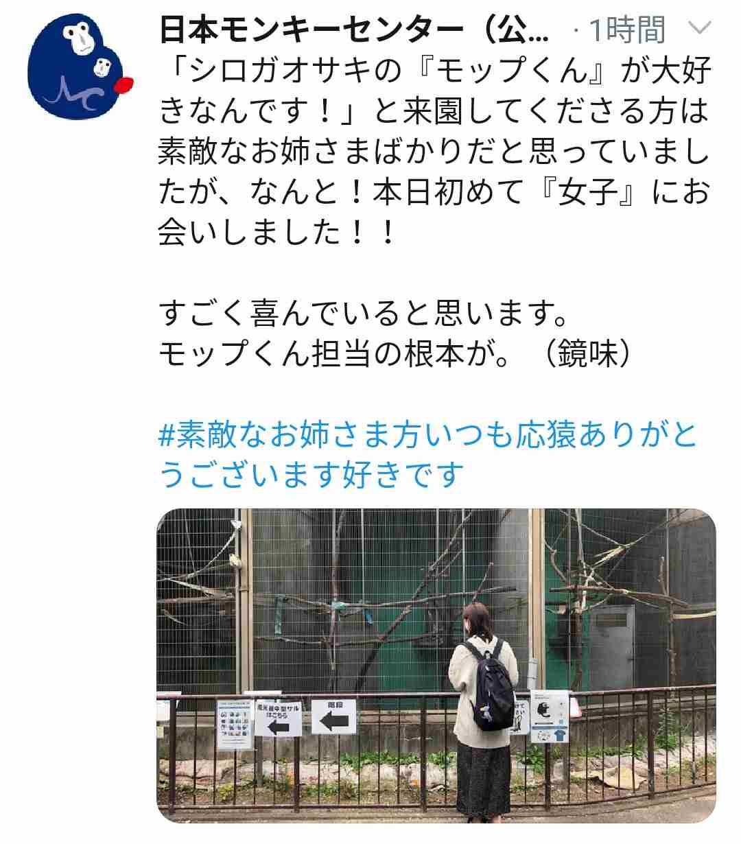 日本モンキーセンターが不適切投稿で謝罪　「女性蔑視」と批判相次ぐ
