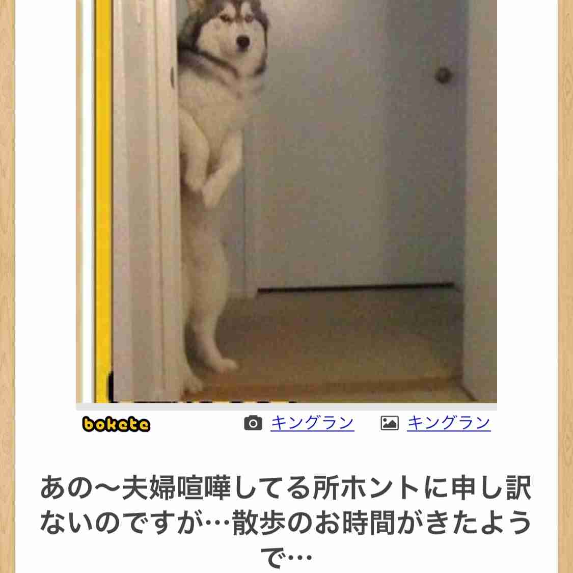 ブサイクに写っちゃった動物たち