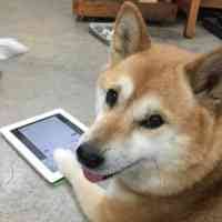 ブサイクに写っちゃった動物たち