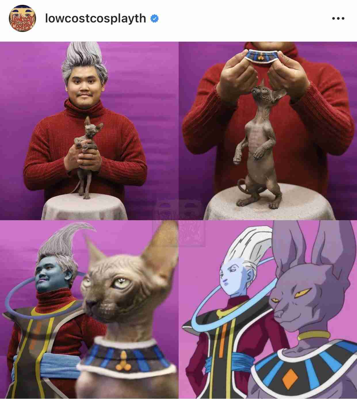ブサイクに写っちゃった動物たち