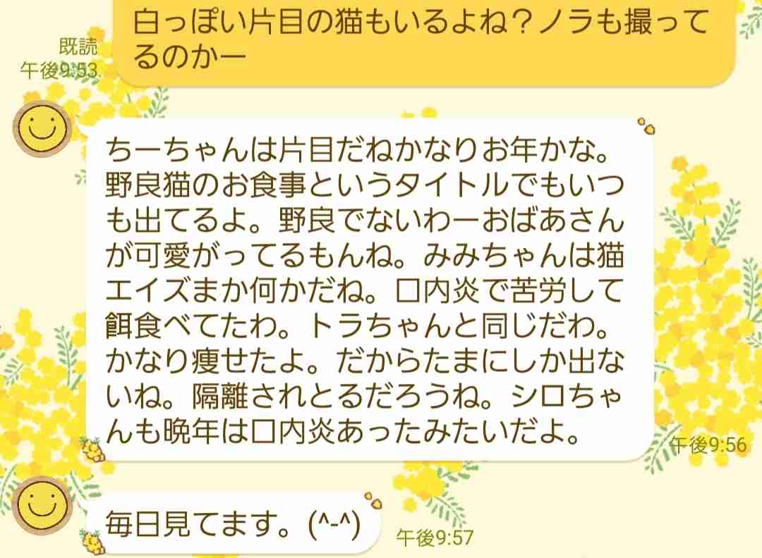 父親・母親からくる変なLINE