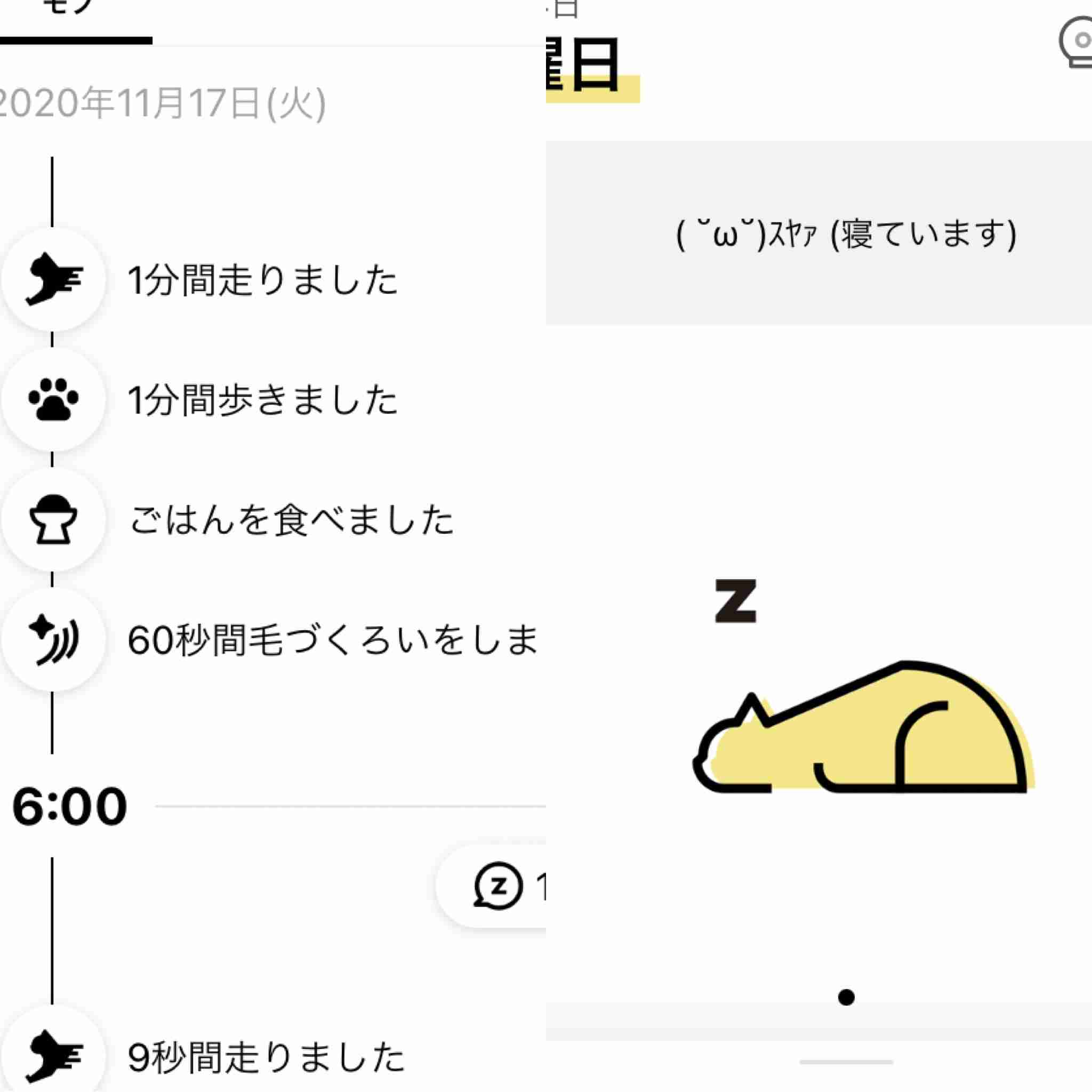 【猫を飼っている方限定】買って良かったもの、良くなかったものPart4