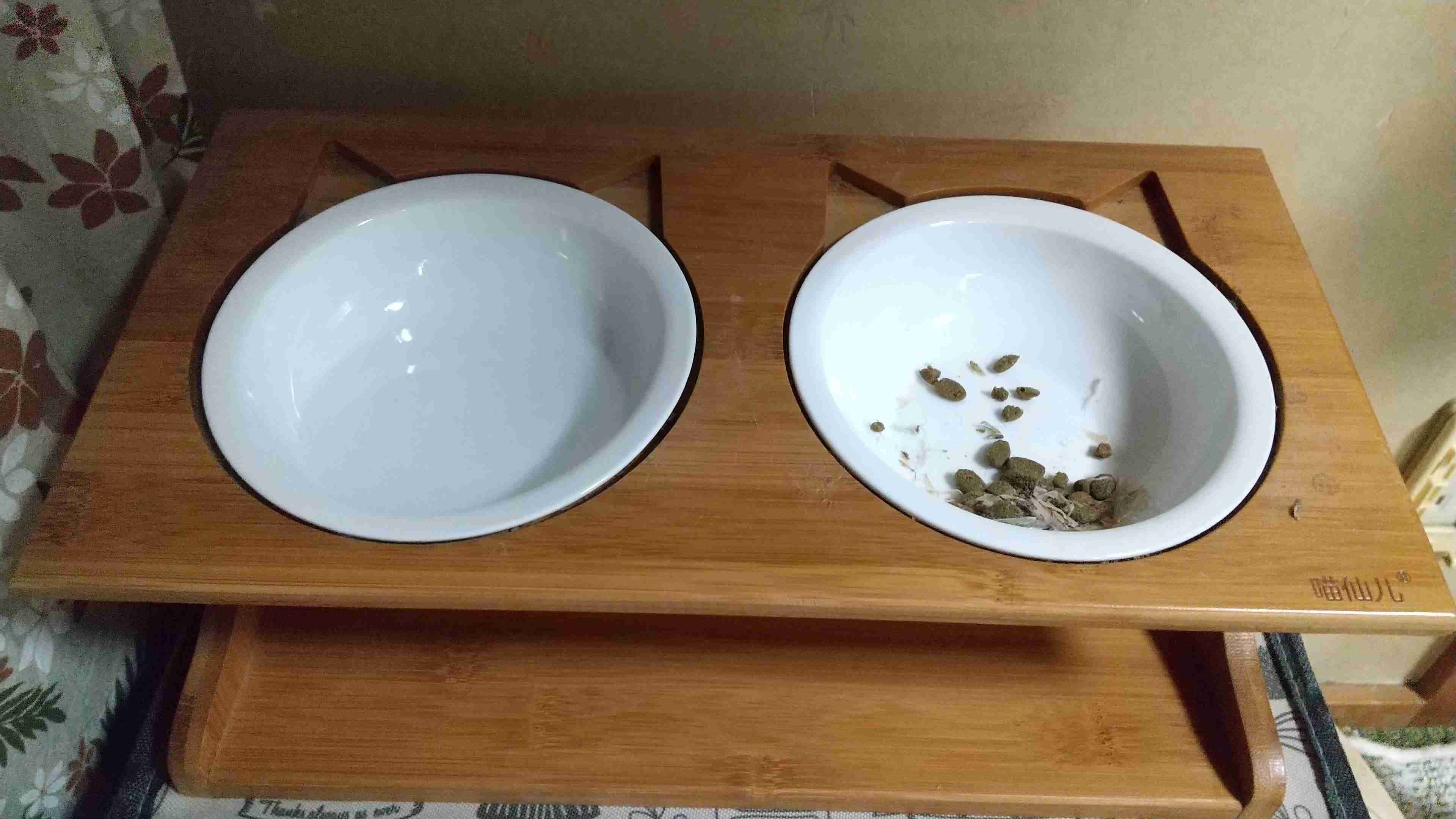 【猫を飼っている方限定】買って良かったもの、良くなかったものPart4