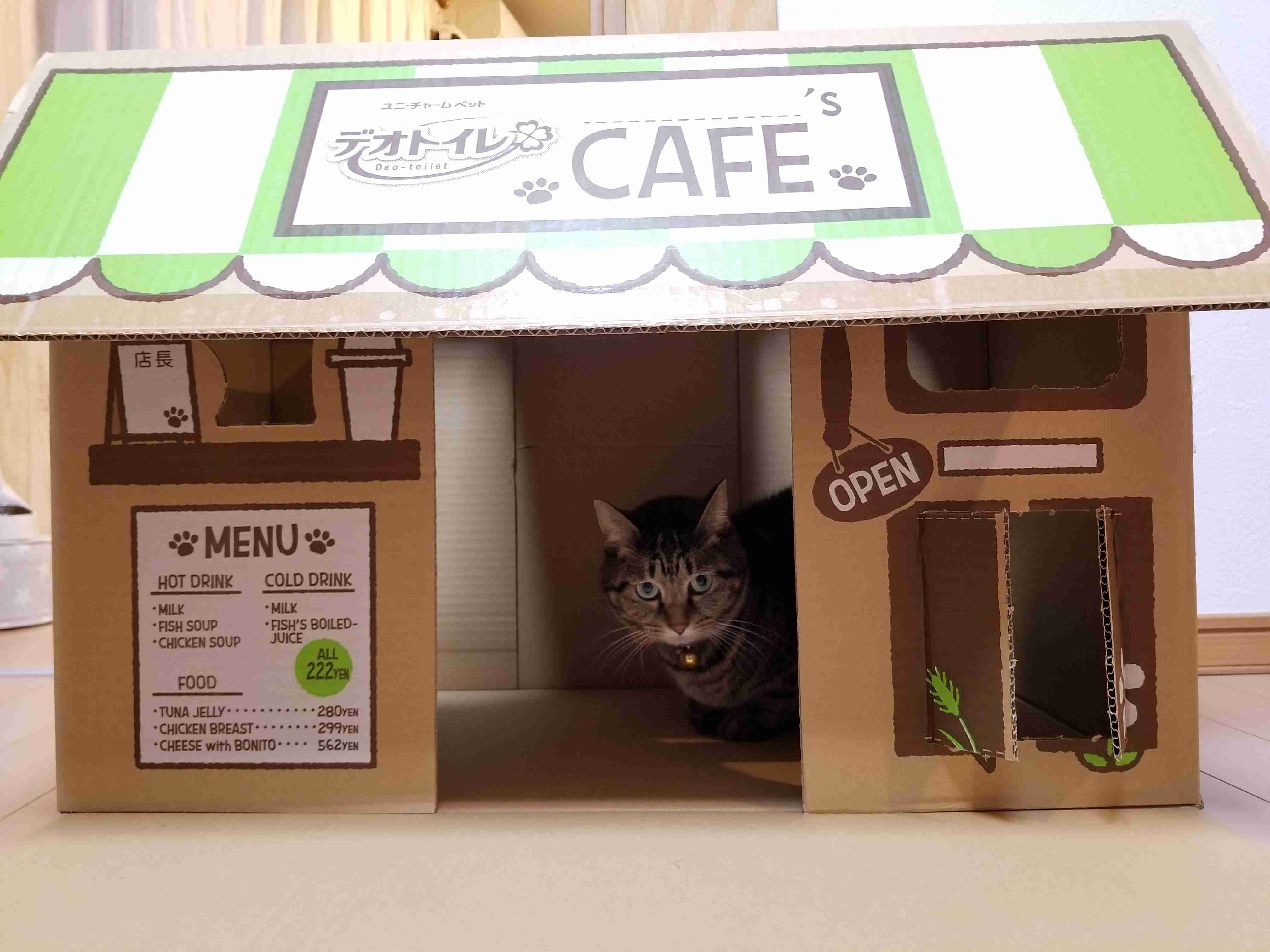 【猫を飼っている方限定】買って良かったもの、良くなかったものPart4