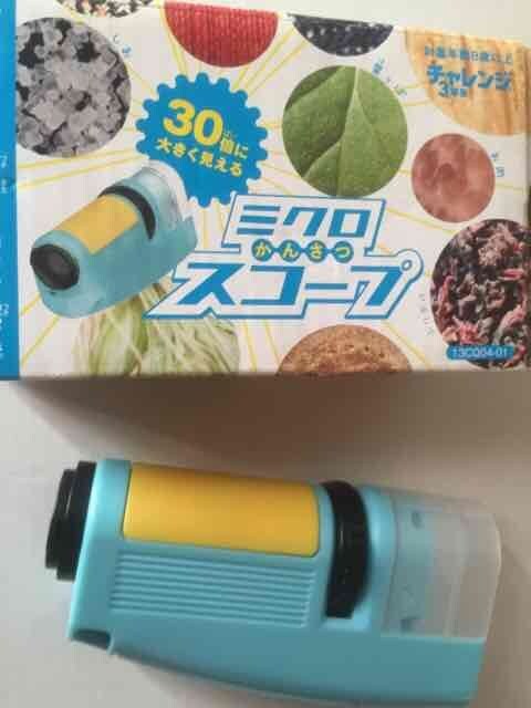 進研ゼミ・赤ペン先生の思い出のふろく、商品を貼るトピ