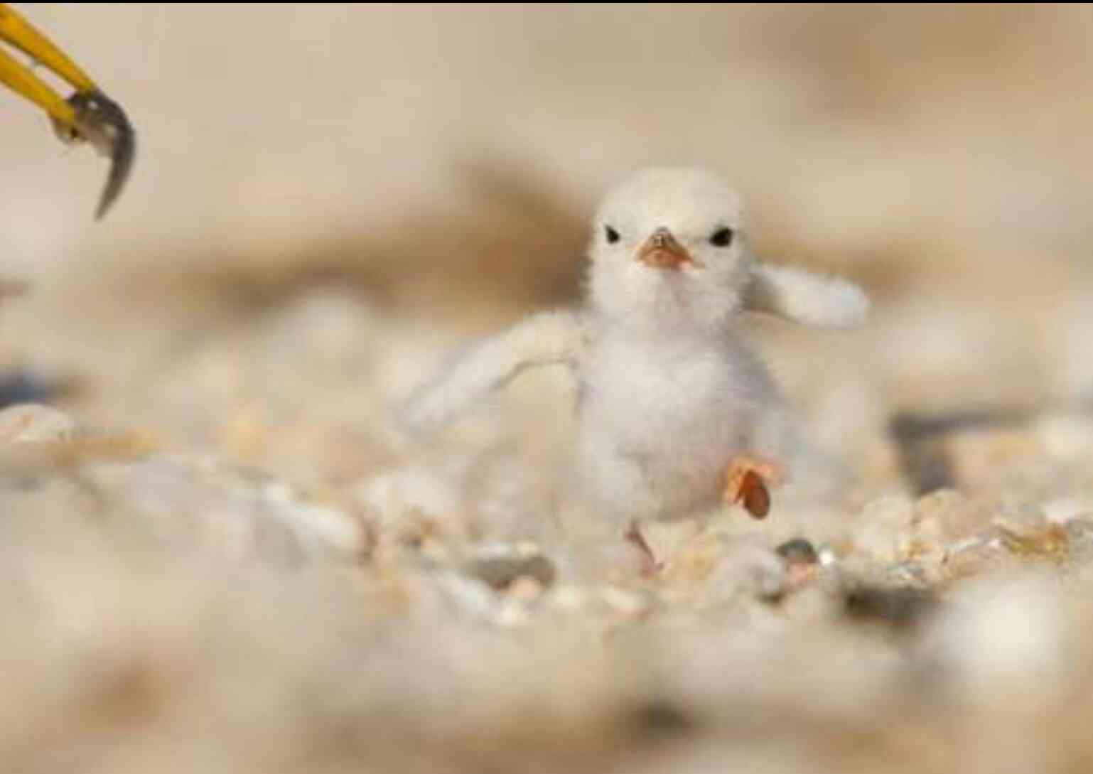 【スギちゃん雑談】寒くなってきたぜぇ～冬じたくするぜぇ～🍂🧦【part54】