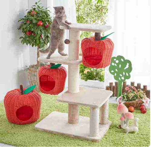 【スギちゃん雑談】寒くなってきたぜぇ～冬じたくするぜぇ～🍂🧦【part54】