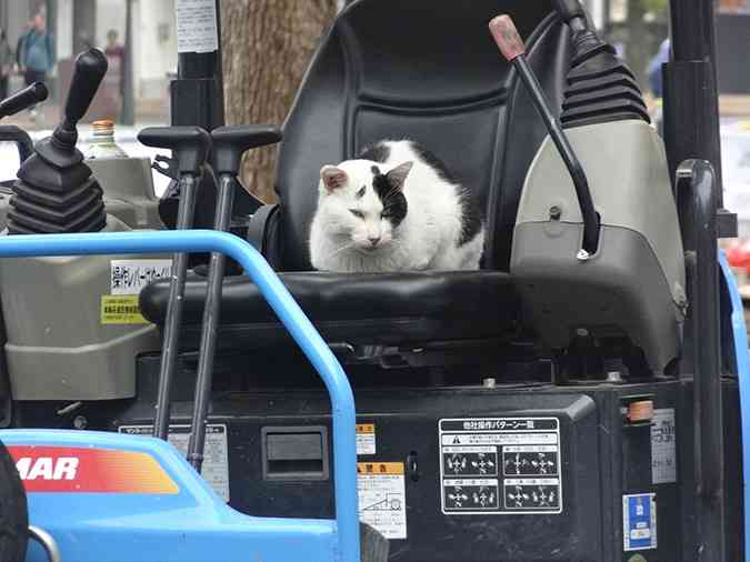 【スギちゃん雑談】寒くなってきたぜぇ~冬じたくするぜぇ~🍂🧦【part54】