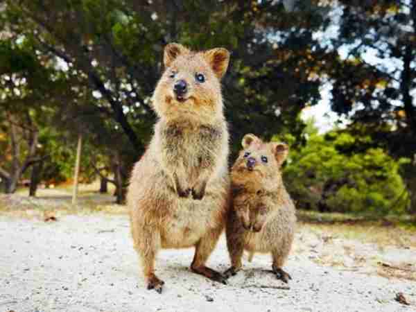 【スギちゃん雑談】寒くなってきたぜぇ~冬じたくするぜぇ~🍂🧦【part54】