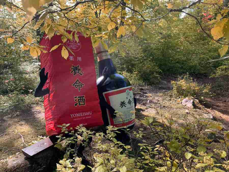 【スギちゃん雑談】寒くなってきたぜぇ~冬じたくするぜぇ~🍂🧦【part54】