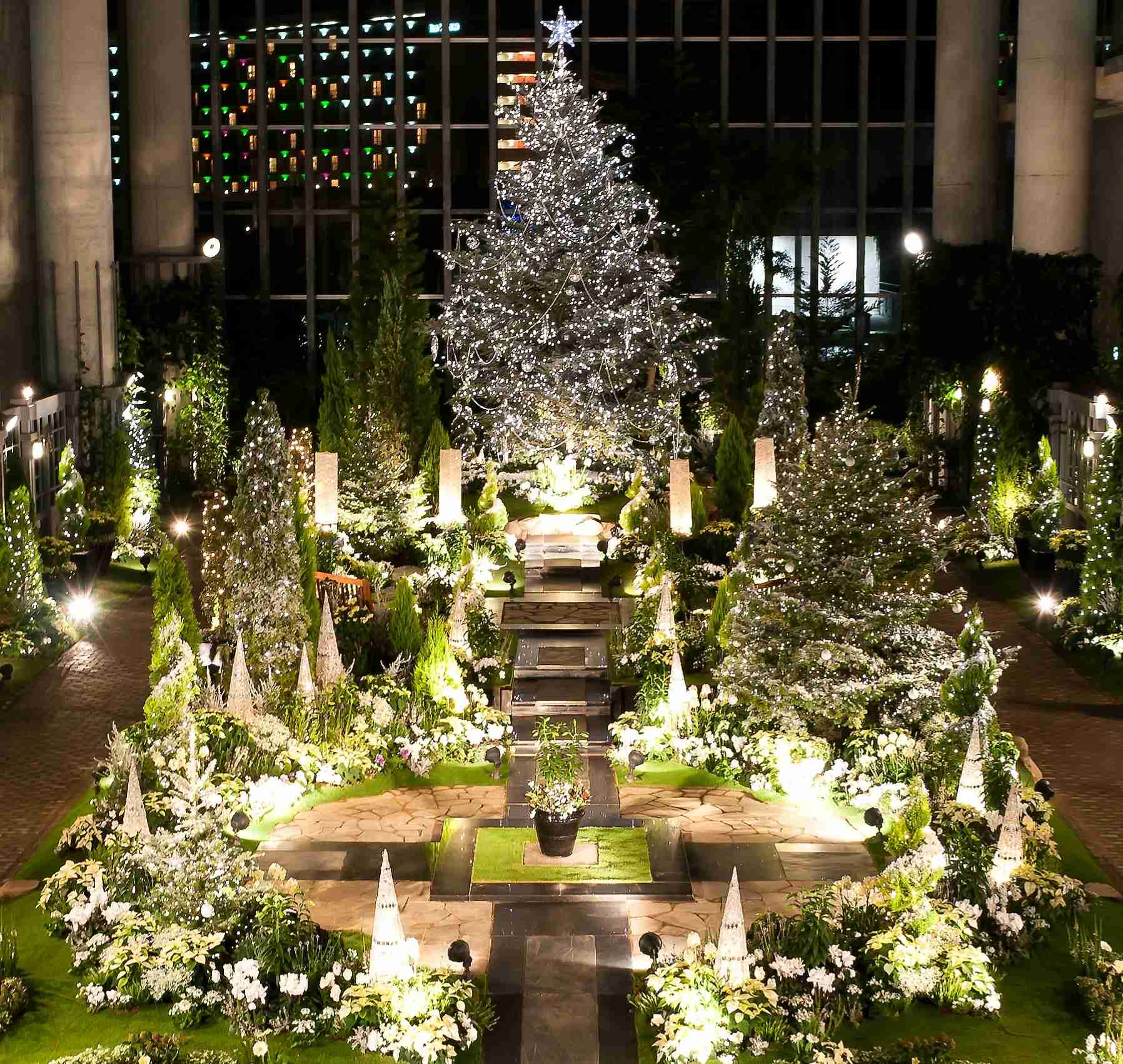 わくわくする冬の画像を下さい！