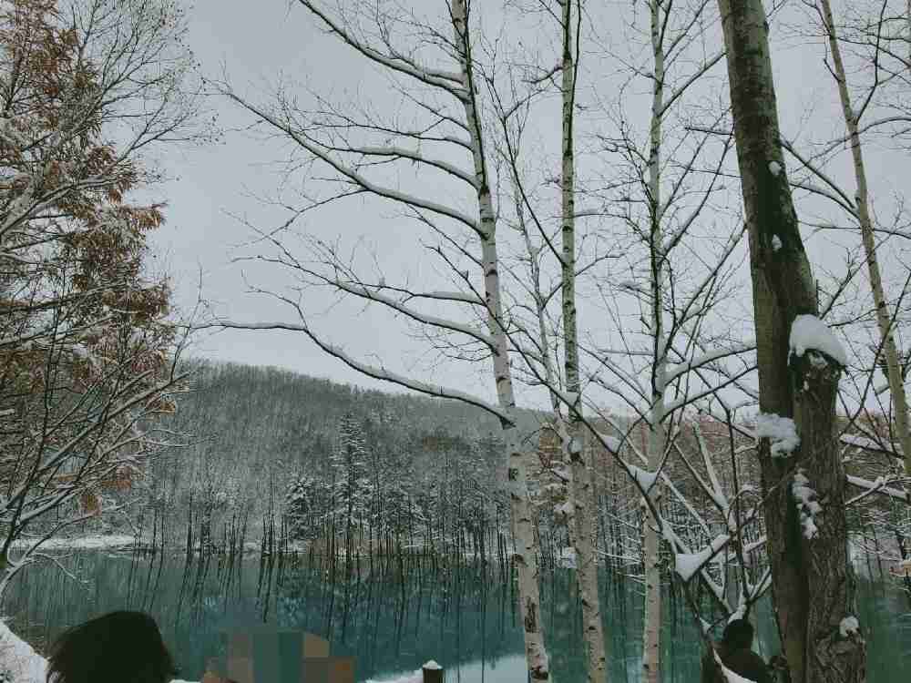 わくわくする冬の画像を下さい！